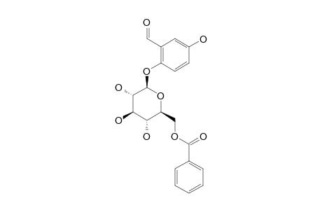 FLACOURTOSIDE_B