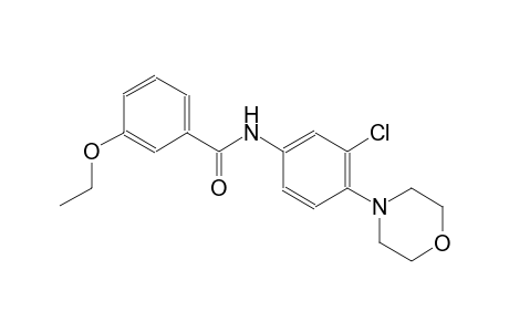 benzamide, N-[3-chloro-4-(4-morpholinyl)phenyl]-3-ethoxy-