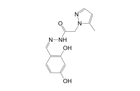 N'-[(Z)-(2,4-dihydroxyphenyl)methylidene]-2-(5-methyl-1H-pyrazol-1-yl)acetohydrazide