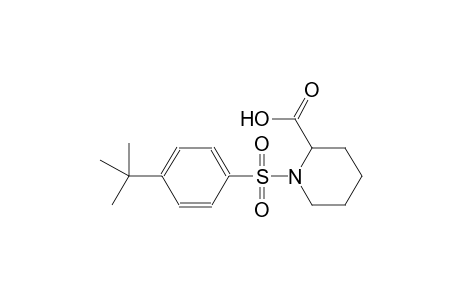 1-[(4-tert-butylphenyl)sulfonyl]-2-piperidinecarboxylic acid
