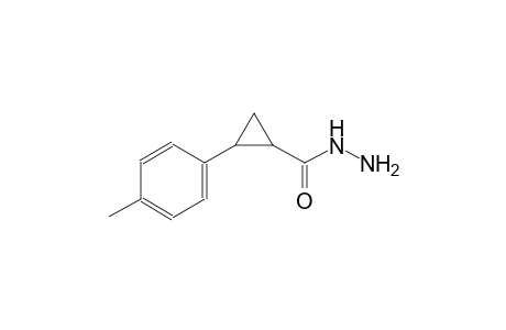 2-(4-methylphenyl)cyclopropanecarbohydrazide