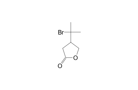 4-(1'-BROMO-1'-METHYLETHYL)-TETRAHYDRO-FURAN-2-ONE