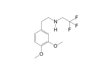 3,4-Dimethoxyphenethylamine TFA (-O,+2H)