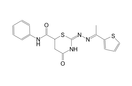 (2E)-4-oxo-N-phenyl-2-{(2E)-2-[1-(2-thienyl)ethylidene]hydrazono}-1,3-thiazinane-6-carboxamide