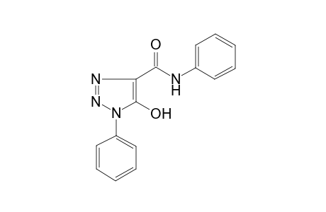 5-Hydroxy-N,1-diphenyl-1H-1,2,3-triazole-4-carboxamide