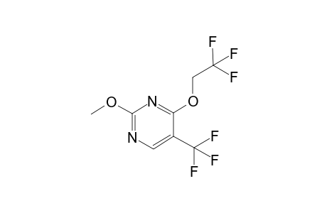 2-methoxy-4-(2,2,2-trifluoroethoxy)-5-(trifluoromethyl)pyrimidine