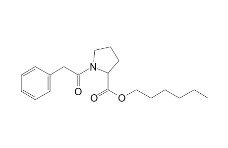 L-Proline, N-(phenylacetyl)-, hexyl ester