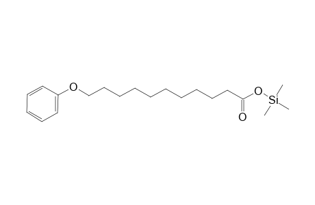 Undecanoic acid, 11-phenoxy-, trimethylsilyl ester