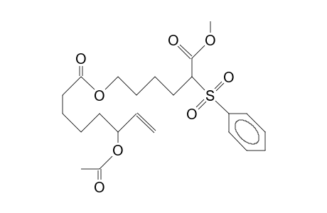 Methyl (1'-benzenesulfonyl-1'-carbomethoxy-5'-pentyl)-6-acetoxy-7-octenoate