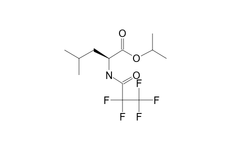 N-Pentafluoropropionyl-L-leucine isopropyl ester