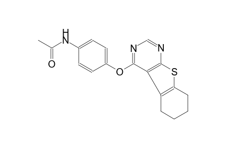 acetamide, N-[4-[(5,6,7,8-tetrahydrobenzo[4,5]thieno[2,3-d]pyrimidin-4-yl)oxy]phenyl]-