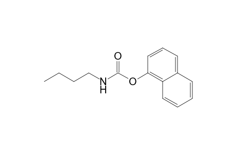 1-Naphthyl Butylcarbamate