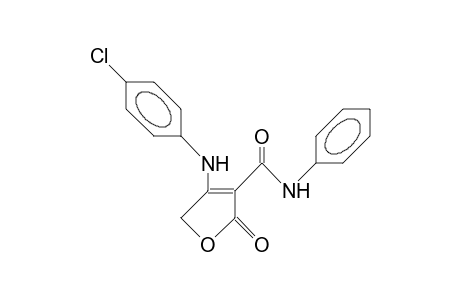 4-(4-Chloro-phenylamino)-3-(N-phenyl-carbamoyl)-2(5H)-furanone