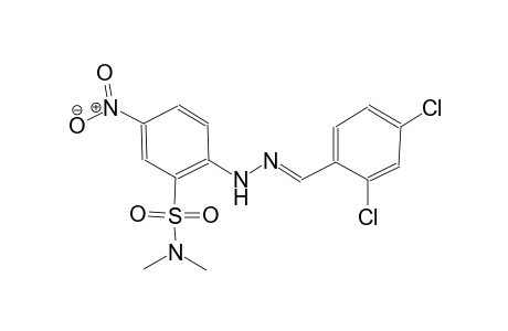 2-[(2E)-2-(2,4-dichlorobenzylidene)hydrazino]-N,N-dimethyl-5-nitrobenzenesulfonamide