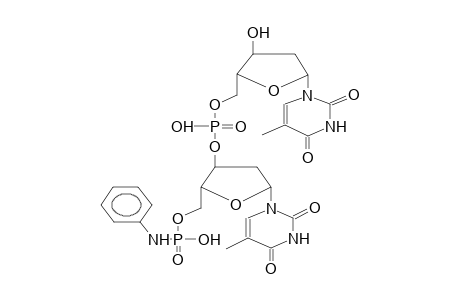 5'-(5'-PHENYLAMIDOPHOSPHORYLDEOXYTHYMID-3-YLOXYPHOSPHORYL)DEOXYTHYMIDINE