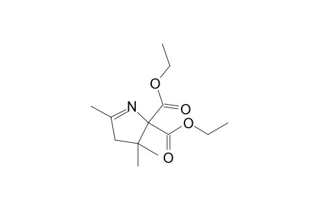 Diethyl 3,3,5-Trimethyl-3,4-dihydro-2H-pyrrol-2,2-dicarboxylate