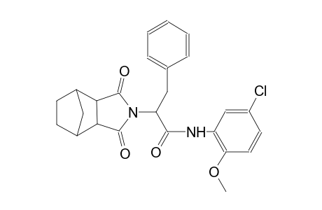 N-(5-chloro-2-methoxyphenyl)-2-(1,3-dioxohexahydro-1H-4,7-methanoisoindol-2(3H)-yl)-3-phenylpropanamide