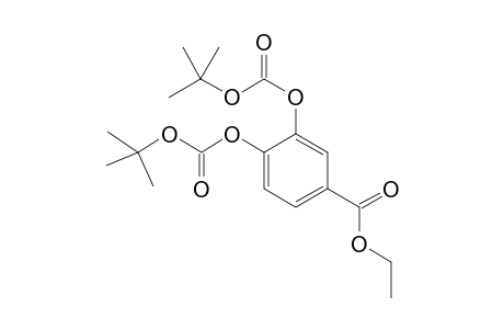 3,4-Bis-tert-butoxycarbonyloxy-benzoic acid ethyl ester