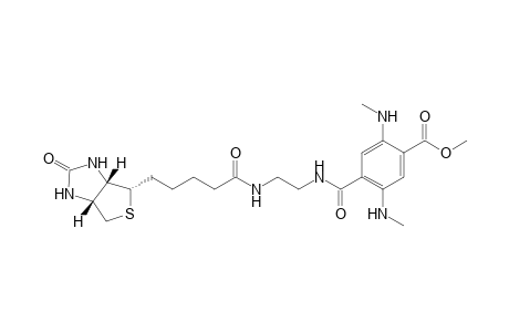 2,5-Di(methylamino)terephthalic acid 1-[2-(biotinoylamino)ethyl]amide 4-methylester