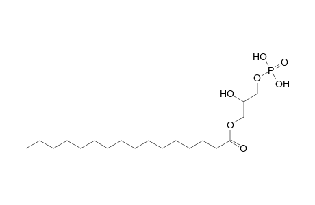 LPA 16:0