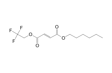 Fumaric acid, hexyl 2,2,2-trifluoroethyl ester