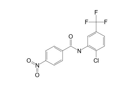 N-[2-CHLORO-5-(TRIFLUOROMETHYL)-PHENYL]-4-NITROBENZAMIDE