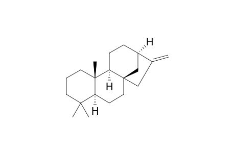 16-Kaurene