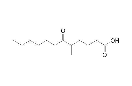 5-Methyl-6-oxododecanoic acid