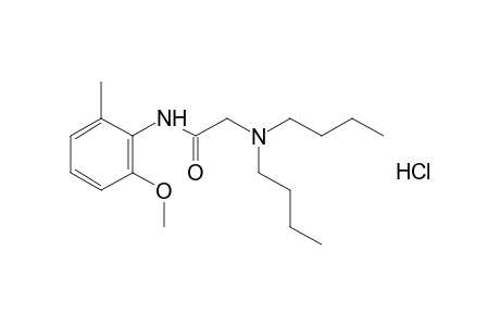 2-(dibutylamino)-6'-methyl-o-acetanisidide, hydrochloride