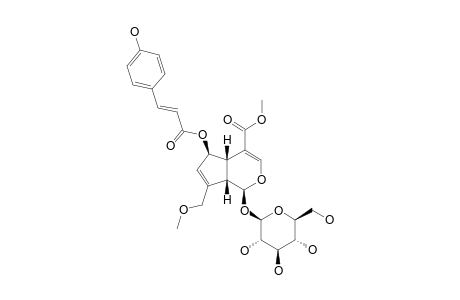 (E)-6-O-PARA-COUMAROYL-SCANDOSIDE-METHYLESTER-10-METHYLETHER