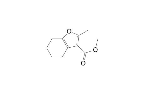 2-Methyl-4,5,6,7-tetrahydrobenzofuran-3-carboxylic acid methyl ester