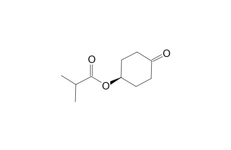4-ISOBUTYRYLOXYCYCLOHEXANONE