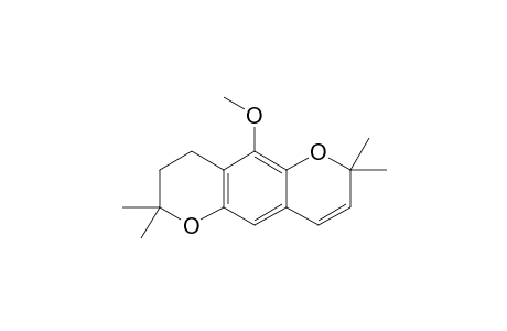 METACALYPOGIN