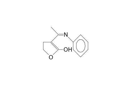 3-(1-Phenylimino-ethyl)-2-hydroxy-3,4-dihydro-furan isom. A