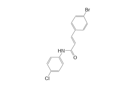 (2E)-3-(4-bromophenyl)-N-(4-chlorophenyl)-2-propenamide