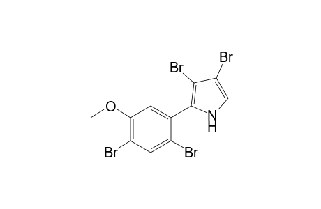 3,4-Dibromo-2-(2',4'-dibromo-5-methoxyphenyl)-1H-pyrrol