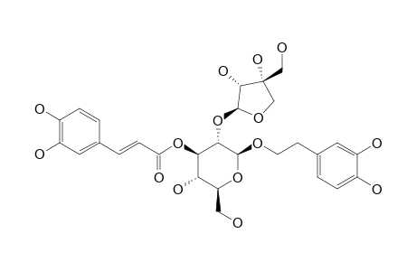 BETA-((3,4-DIHYDROXYPHENYL)-ETHYL-3-O-E-CAFFEOYL-O-[BETA-D-APIOFURANOSYL-(1->2)]-BETA-D-GLUCOPYRANOSIDE