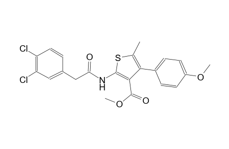 methyl 2-{[(3,4-dichlorophenyl)acetyl]amino}-4-(4-methoxyphenyl)-5-methyl-3-thiophenecarboxylate