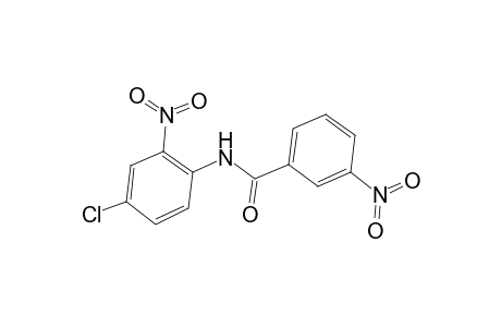 N-(4-Chloro-2-nitro-phenyl)-3-nitro-benzamide