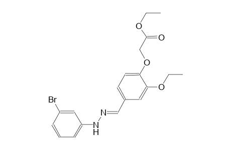 ethyl (4-{(E)-[(3-bromophenyl)hydrazono]methyl}-2-ethoxyphenoxy)acetate