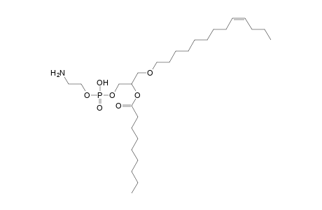 PE O-13:1_9:0