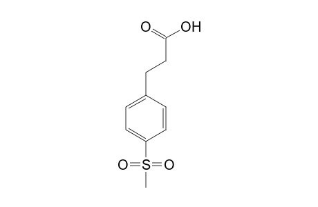 3-[4-(Methylsulfonyl)phenyl]propionic acid