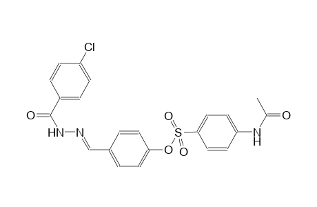 4-{(E)-[2-(4-chlorobenzoyl)hydrazono]methyl}phenyl 4-(acetylamino)benzenesulfonate