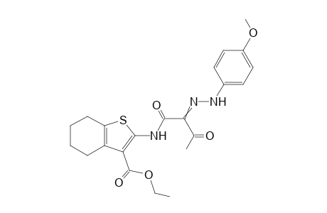 N-(3-Ethoxycarbonyl-4,5,6,7-tetrahydrobenzo[b]thien-2-yl)-2-(4-methoxyphenylhydrazono)-3-oxobutanamide