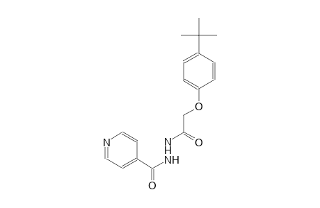 4-pyridinecarboxylic acid, 2-[2-[4-(1,1-dimethylethyl)phenoxy]acetyl]hydrazide