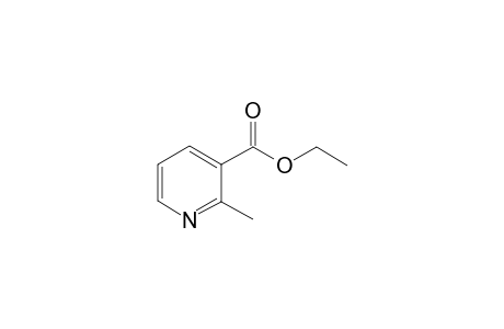 Ethyl 2-methylnicotinate