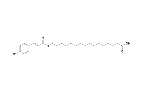 16-(E-coumaroyloxy)-palmitic acid