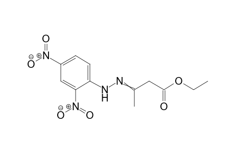 Ethyl-3-[(2,4-dinitrophenyl)hydrazono]butanoate