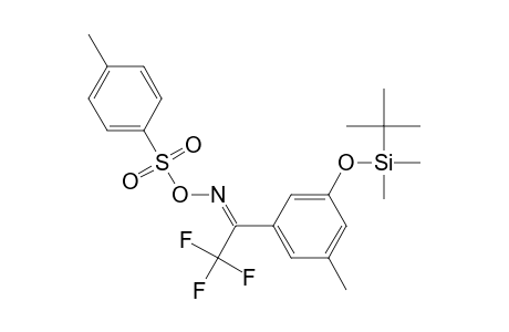O-(4-Toluenesulphonyl)-1-(3-t-Butyldimethylsilyloxy-5-methylphenyl)-2,2,2-trifluoroethanone Oxime