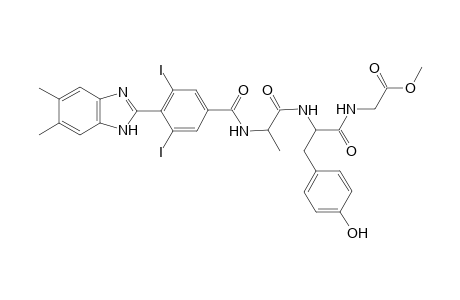 4-(5,6-dimethyl-1H-benzo[d]imidazol-2-yl)-3,5-diiodobenzoyl Ala-Tyr-Gly Dev.